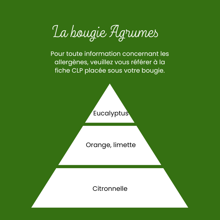 Bougie Agrumes