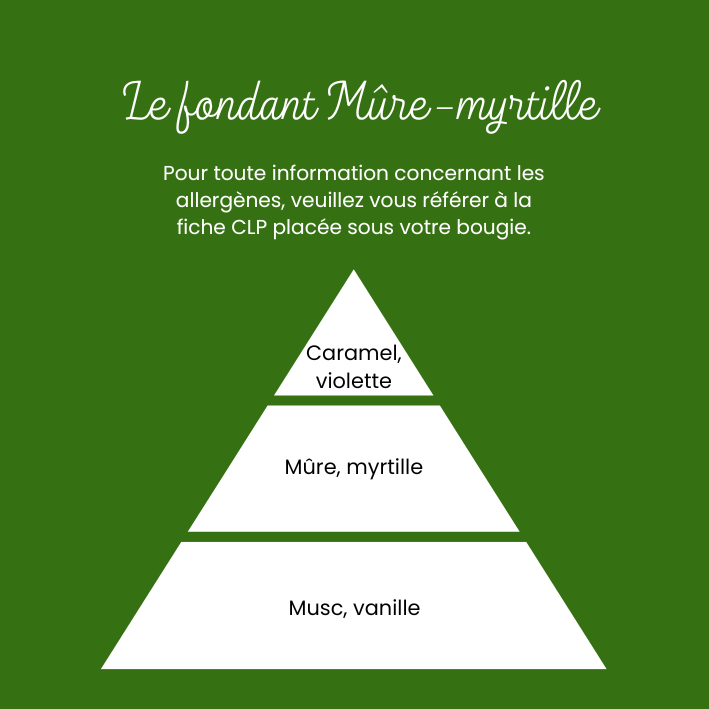 Pochon Mûres-Myrtilles