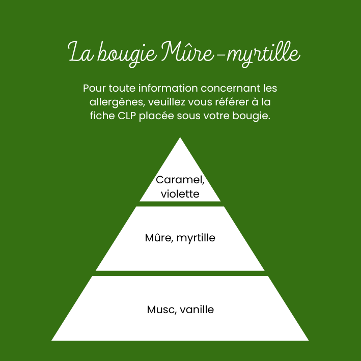 Bougie Mûres-Myrtilles