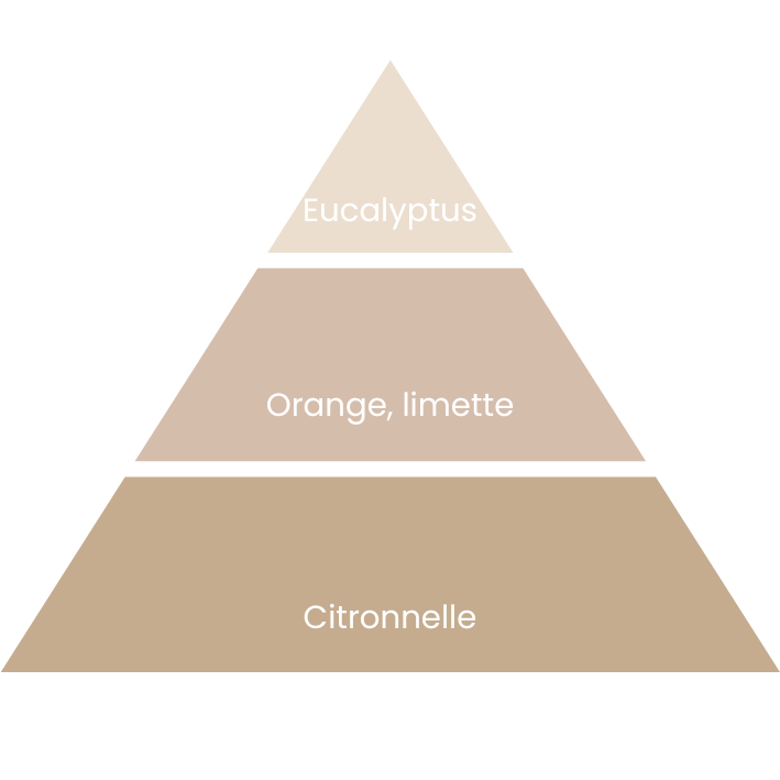 Bougie Agrumes