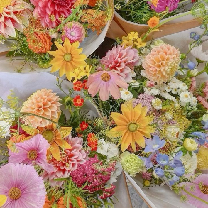 Collection Florale
