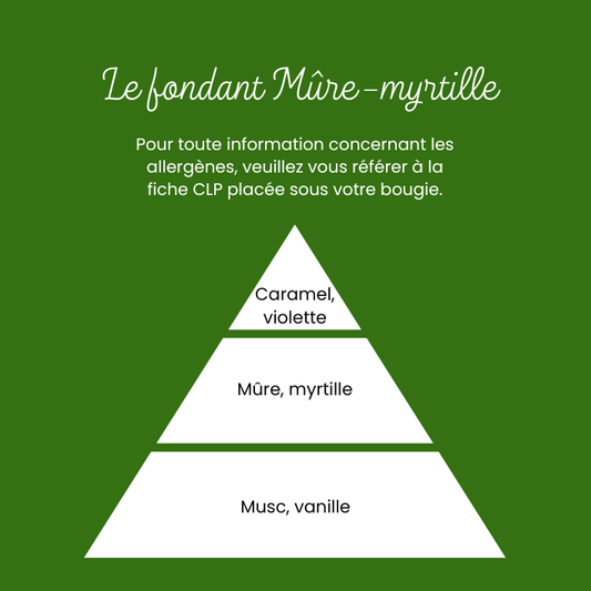 Pochon Mûres-Myrtilles